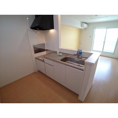 Ｌａｋｅ　Ｗｅｓｔ　西の湖　Ⅱ 202【管理NO：1-019732502-02020】 ★家具家電は申し込み後に搬入しますの物件写真3