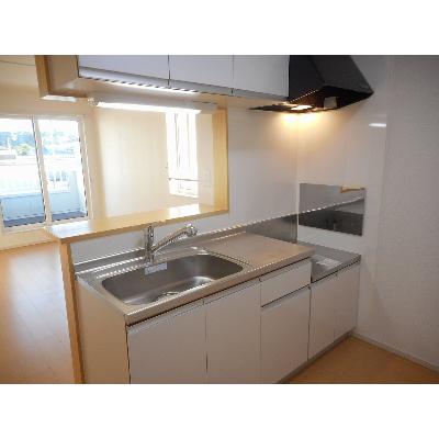 ＲｉｒｉａⅦ　１ 201【管理NO：1-019271001-02010】 ★家具家電は申し込み後に搬入しますの物件写真3