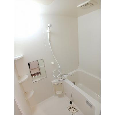 コーラルリーフ 104【管理NO：1-011163501-01040】の物件写真4