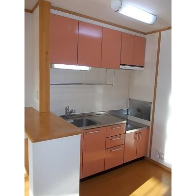 ハイファイン藤 203【管理NO：1-012769901-02030】 ★家具家電は申し込み後に搬入しますの物件写真3
