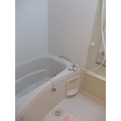 ハイファイン藤 203【管理NO：1-012769901-02030】 ★家具家電は申し込み後に搬入しますの物件写真4