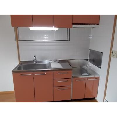 メゾン・ド・リーヴＢ 203【管理NO：1-012020702-02030】 ★家具家電は申し込み後に搬入しますの物件写真3