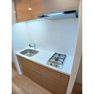 ブランメゾン帷子ノ辻 303【管理NO：1-026955101-03030】 ★家具家電は申し込み後に搬入しますの物件写真3