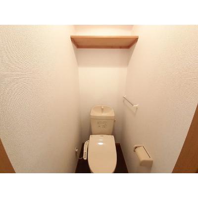 パラス卯兵衛 306【管理NO：1-011839601-03060】 2026年06月下旬入居可能の物件写真5