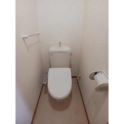 エレガンテ 203【管理NO：1-011585401-02030】 ★家具家電は申し込み後に搬入します★の物件写真5