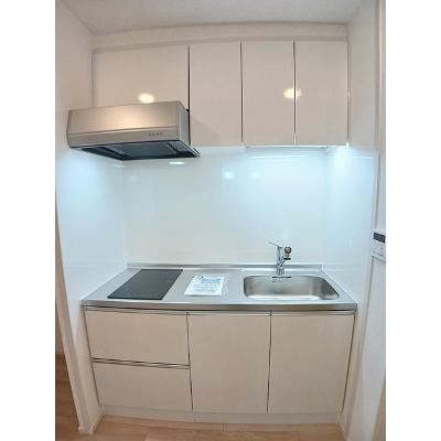 サピー日英Ⅲ 304【管理NO：1-028296101-03040】 ★家具家電は申し込み後に搬入します★の物件写真3