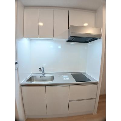 サピー日英Ⅲ 201【管理NO：1-028296101-02010】 ★家具家電は申し込み後に搬入します★の物件写真3