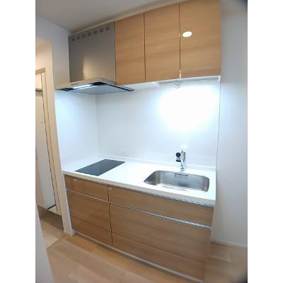 たばさはうすⅡ 203【管理NO：1-028176701-02030】 ★家具家電は申し込み後に搬入します★の物件写真3