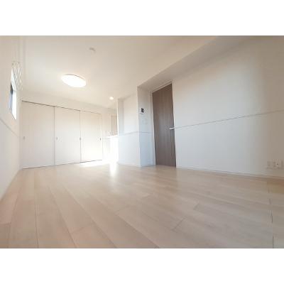 ディオパルコ 201【管理NO：1-027301401-02010】 ★家具家電は申し込み後に搬入します★の物件写真2