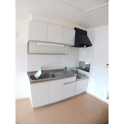 ジークフリーデンⅡ 202【管理NO：1-016023802-02020】 ★家具家電は申し込み後に搬入しますの物件写真3