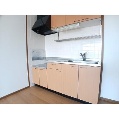 シャルマンヴィレッジ　Ａ 202【管理NO：1-010443201-02020】 ★家具家電は申し込み後に搬入します★の物件写真3