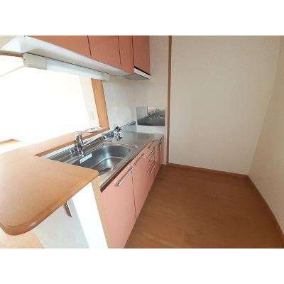 サニー・カーサＭ 102【管理NO：1-013297801-01020】 ★家具家電は申し込み後に搬入します★の物件写真3