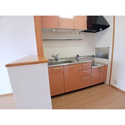 ブルーメ野里Ｂ 202【管理NO：1-012733602-02020】 ★家具家電は申し込み後に搬入します★の物件写真3