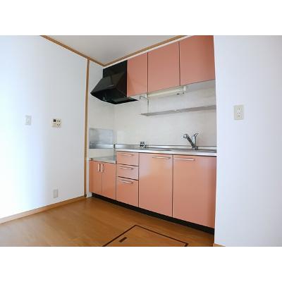 アウローラＭ　Ａ 102【管理NO：1-012700001-01020】 ★家具家電は申し込み後に搬入しますの物件写真3