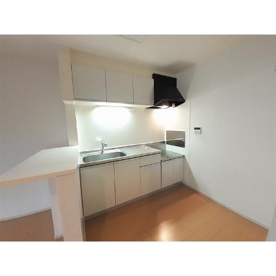ディアス・カーサ 202【管理NO：1-020093001-02020】 ★家具家電は申し込み後に搬入します★の物件写真3