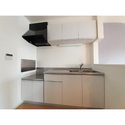 ディアス・カーサ 204【管理NO：1-020093001-02040】 ★家具家電は申し込み後に搬入しますの物件写真3
