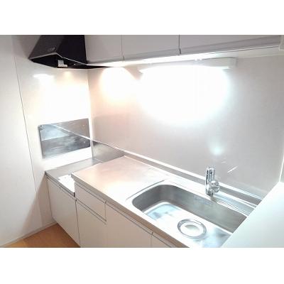 カーサ・２５５Ｂ 203【管理NO：1-019869202-02030】 ★家具家電は申し込み後に搬入します★の物件写真3