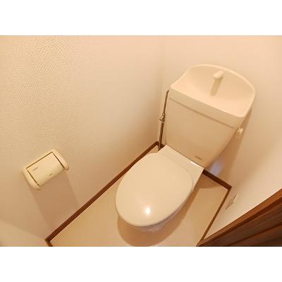 Ｌａ．プラティーヌ 203【管理NO：1-010723801-02030】 ★家具家電は申し込み後に搬入します★の物件写真5