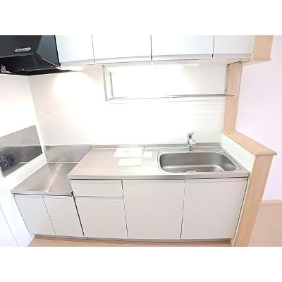 ラフィーネ 101【管理NO：1-015936401-01010】の物件写真3