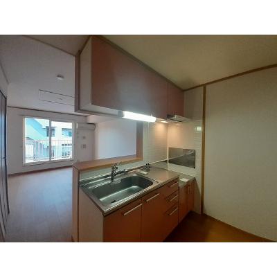 イーストアルカディア 203【管理NO：1-012623501-02030】 ★家具家電は申し込み後に搬入します★の物件写真3