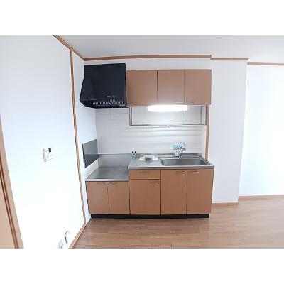 エクシージュⅠ 202【管理NO：1-011579001-02020】 ★家具家電は申し込み後に搬入します★の物件写真3