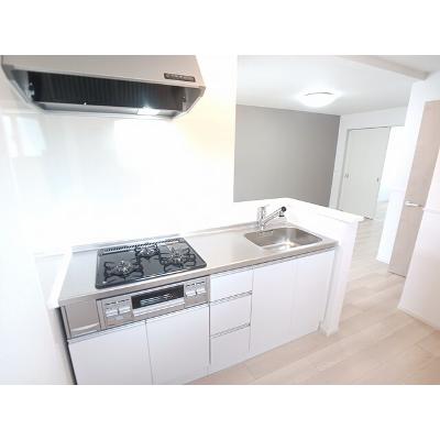 サングレイス 201【管理NO：1-027906501-02010】 ★家具家電は申し込み後に搬入しますの物件写真3