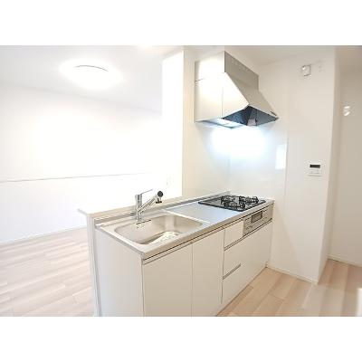 アルデバラン 203【管理NO：1-027727101-02030】 ★家具家電は申し込み後に搬入しますの物件写真3