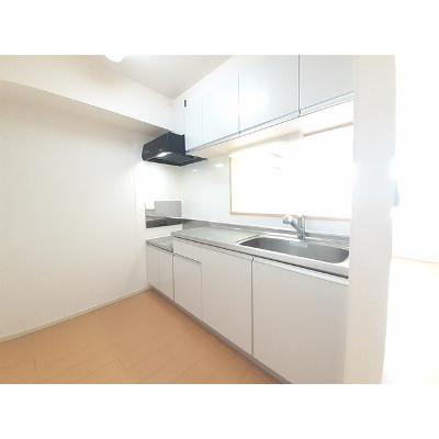 セレンディピティ　Ⅰ 203【管理NO：1-018366901-02030】 2026年07月中旬入居可能の物件写真3