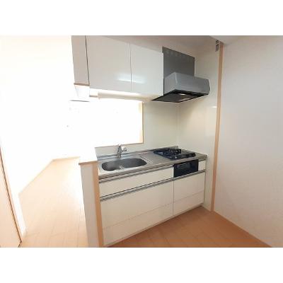 フェリス 601【管理NO：1-017901201-06010】 ★家具家電は申し込み後に搬入しますの物件写真3
