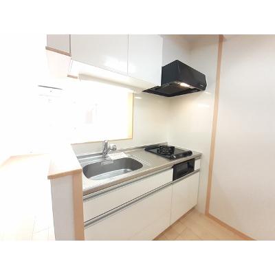フェリス 407【管理NO：1-017901201-04060】 ★家具家電は申し込み後に搬入しますの物件写真3