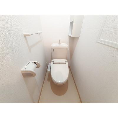 プランドール 202【管理NO：1-017035002-02020】 2026年06月下旬入居可能の物件写真5