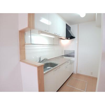 グランド　ソレイユ　Ｂ 101【管理NO：1-015400002-01010】 ★家具家電は申し込み後に搬入しますの物件写真3