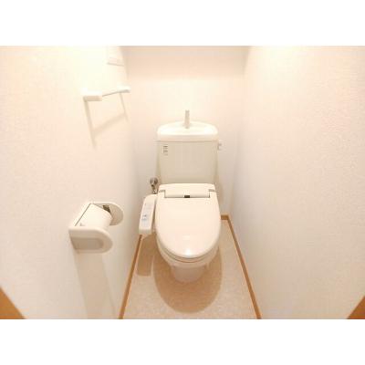 コモドビラⅧ 201【管理NO：1-014996201-02010】の物件写真5