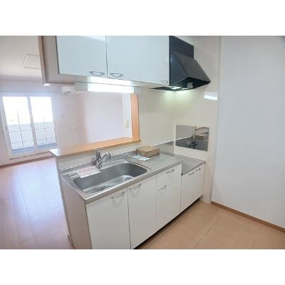 フラワーパーク 201【管理NO：1-014539701-02010】 ★家具家電は申し込み後に搬入します★の物件写真3