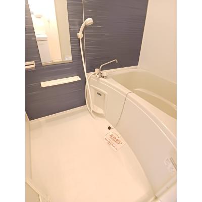 モデッサ　フェリーチェ 302【管理NO：1-018680201-03020】 ★家具家電は申し込み後に搬入します★の物件写真4