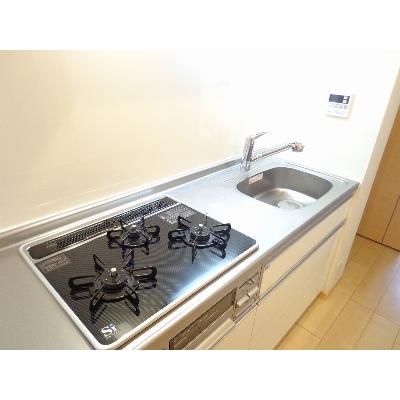 鶴野リバーサイドテラス 302【管理NO：1-018534901-03020】 ★家具家電は申し込み後に搬入します★の物件写真3