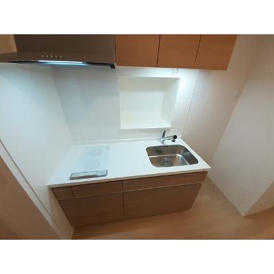 グランディール高鷲Ⅱ 105【管理NO：1-027279901-01040】 ★家具家電は申し込み後に搬入しますの物件写真3