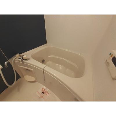 ソルジェンテ 102【管理NO：1-015968501-01020】 ★家具家電は申し込み後に搬入しますの物件写真4