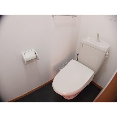 ソフィアコート 203【管理NO：1-013813201-02030】 ★家具家電は申し込み後に搬入します 2026年08月中旬入居可能の物件写真5
