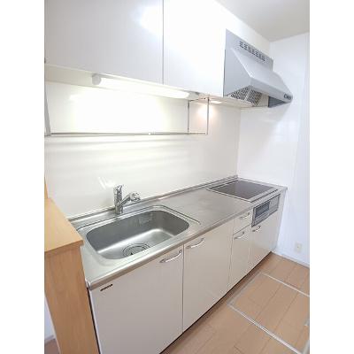 カーサ・フローレス 105【管理NO：1-017038301-01040】 ★家具家電は申し込み後に搬入しますの物件写真3
