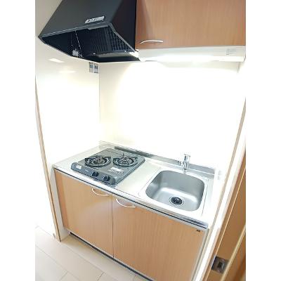 エステート・レイⅢ 303【管理NO：1-014317101-03030】 ★家具家電は申し込み後に搬入しますの物件写真3
