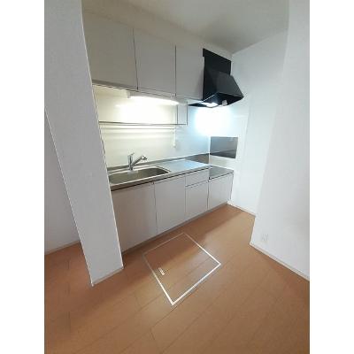 レジデンス根来 102【管理NO：1-017530501-01020】 ★家具家電は申し込み後に搬入しますの物件写真3