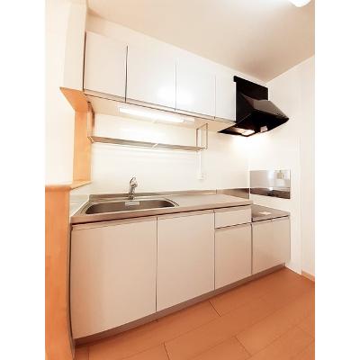 フラン 202【管理NO：1-016960001-02020】 ★家具家電は申し込み後に搬入しますの物件写真3