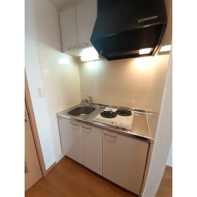Ｇｏｏｄｄａｙ　Ｍａｎｓｉｏｎ 305【管理NO：1-013993401-03040】 ★家具家電は申し込み後に搬入しますの物件写真3