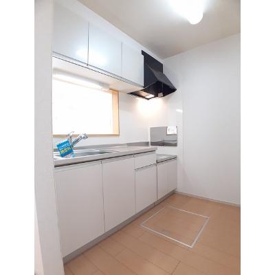 apartment 和歌山県和歌山市出島４７４－２ 

↓地図はこちらから