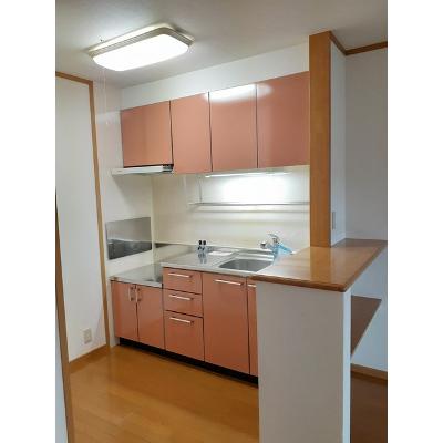 シェーネⅠ 202【管理NO：1-013090801-02020】 ★家具家電は申し込み後に搬入しますの物件写真3