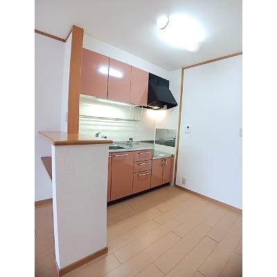 ポルトラーノⅢ 202【管理NO：1-012568102-02020】 ★家具家電は申し込み後に搬入しますの物件写真3