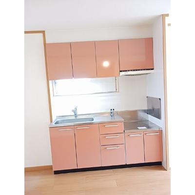 カーサ・デ・フィオレンテ 202【管理NO：1-012180201-02020】 ★家具家電は申し込み後に搬入しますの物件写真3