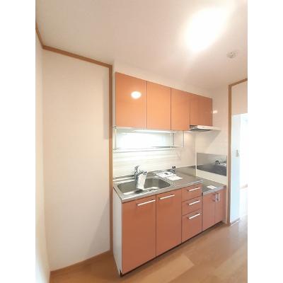 カーサグリーンⅡ 202【管理NO：1-011846501-02020】 ★家具家電は申し込み後に搬入します★の物件写真3
