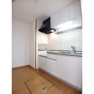グランド・メール 102【管理NO：1-009488901-01020】 ★家具家電は申し込み後に搬入しますの物件写真3